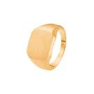 Captena Luff Ring Stainless Steel DU30025